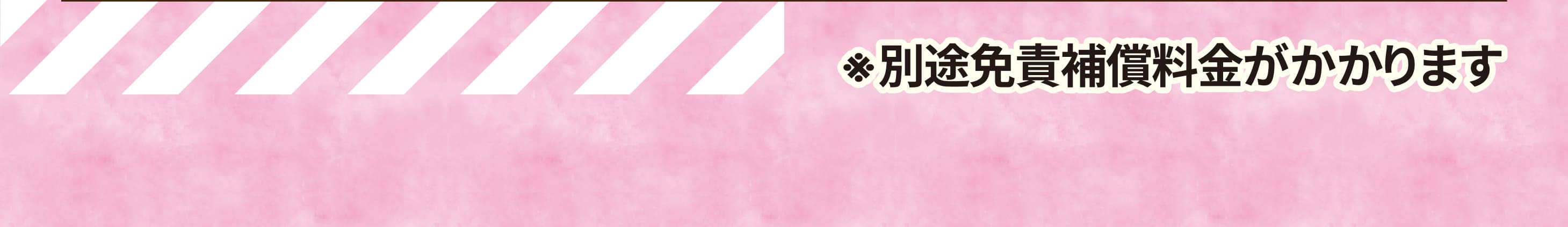 ※別途免責補償料金がかかります