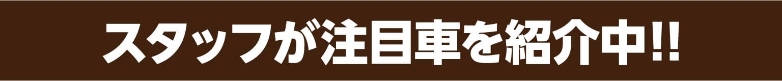 スタッフが注目車を紹介中！！
